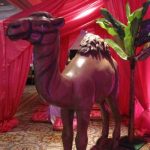 camel__resize