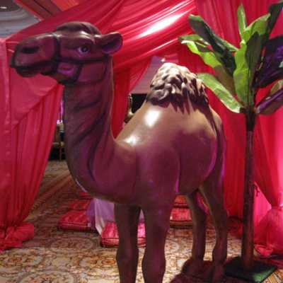 camel__resize
