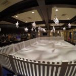 ice_skating_rink_2__resize (2)