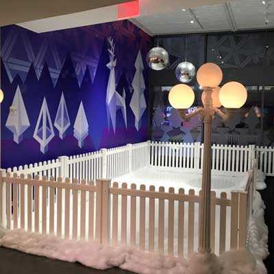 synthetic-ice-skating-rink-smaller__resize